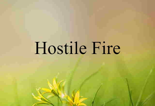 Hostile Fire (noun) Definition, Meaning & Examples