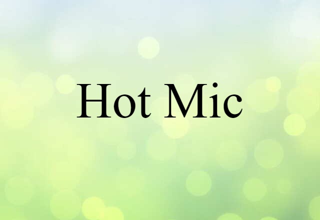 Hot Mic (noun) Definition, Meaning & Examples