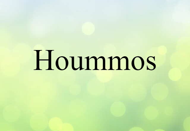 Hoummos (noun) Definition, Meaning & Examples