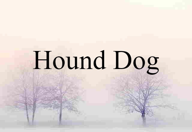 Hound Dog (noun) Definition, Meaning & Examples