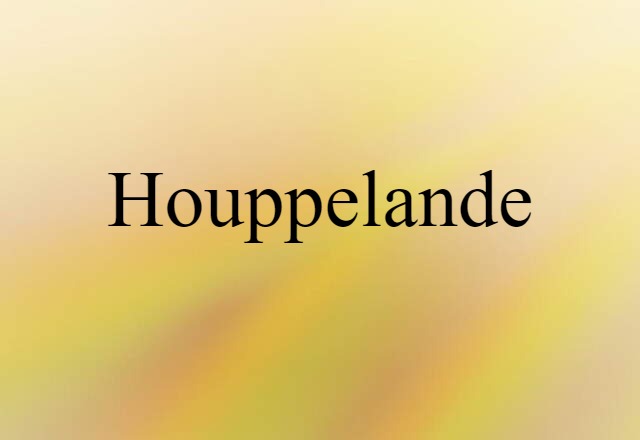 Houppelande (noun) Definition, Meaning & Examples