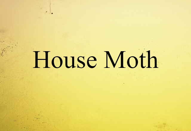 house moth