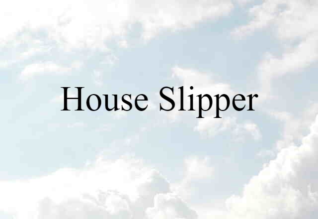 House Slipper (noun) Definition, Meaning & Examples