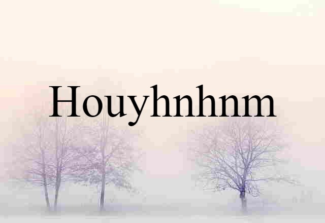 Houyhnhnm (noun) Definition, Meaning & Examples