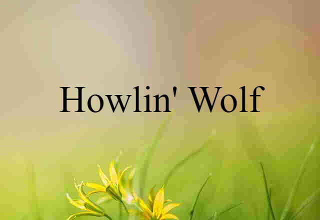 Howlin' Wolf (noun) Definition, Meaning & Examples