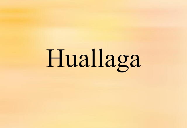 Huallaga (noun) Definition, Meaning & Examples