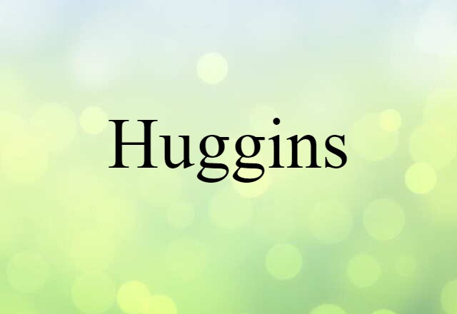 Huggins (noun) Definition, Meaning & Examples