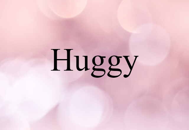 Huggy (noun) Definition, Meaning & Examples