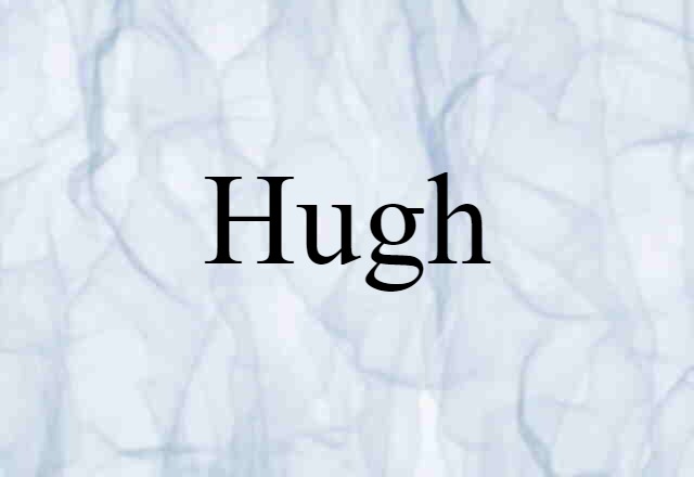 Hugh (noun) Definition, Meaning & Examples