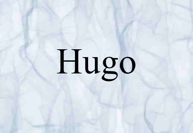 Hugo (noun) Definition, Meaning & Examples