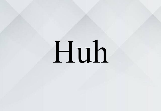 Huh (noun) Definition, Meaning & Examples