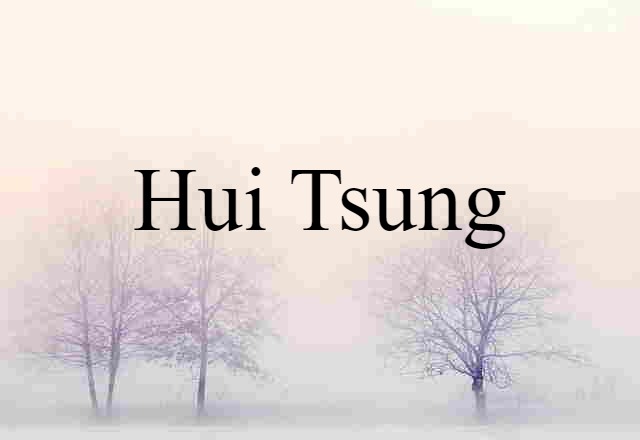 Hui Tsung (noun) Definition, Meaning & Examples