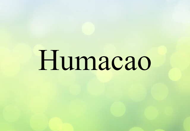 Humacao (noun) Definition, Meaning & Examples