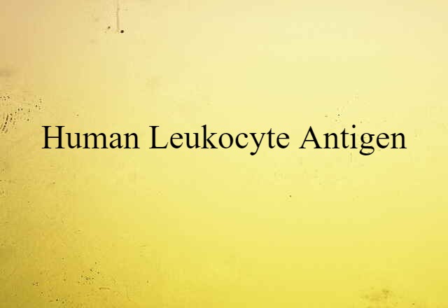 human leukocyte antigen