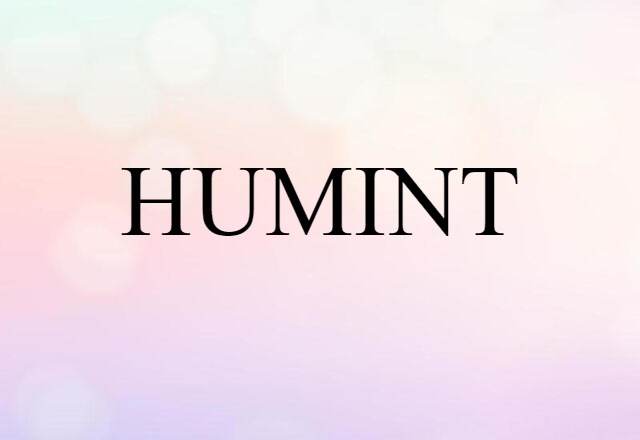 HUMINT (noun) Definition, Meaning & Examples