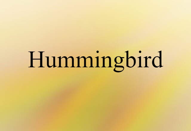 Hummingbird (noun) Definition, Meaning & Examples