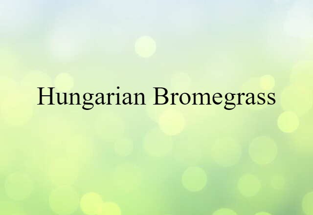 Hungarian bromegrass