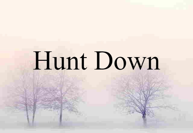 hunt down