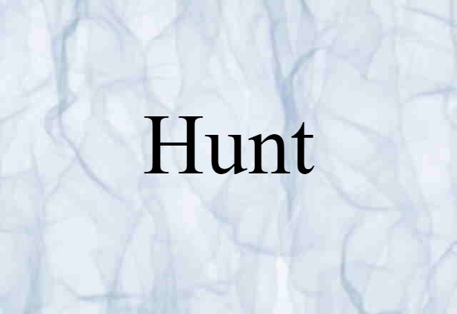 Hunt (noun) Definition, Meaning & Examples