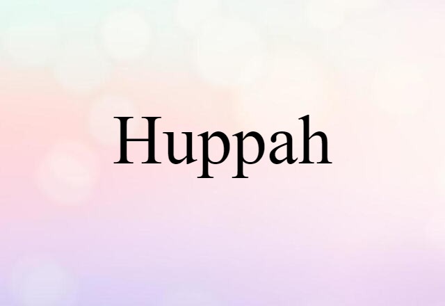 Huppah (noun) Definition, Meaning & Examples