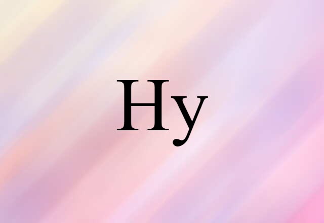 Hy (noun) Definition, Meaning & Examples