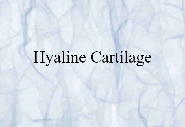 hyaline cartilage