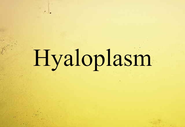 hyaloplasm