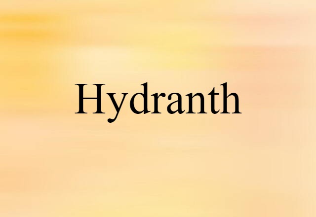 hydranth