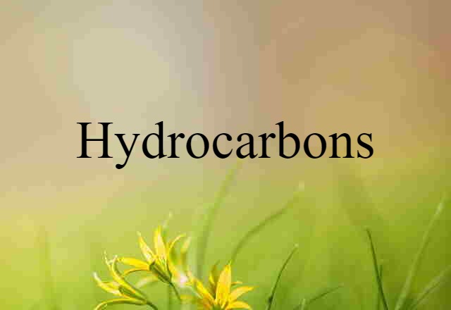 Hydrocarbons (noun) Definition, Meaning & Examples