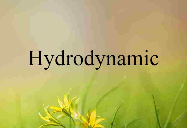 Hydrodynamic (noun) Definition, Meaning & Examples