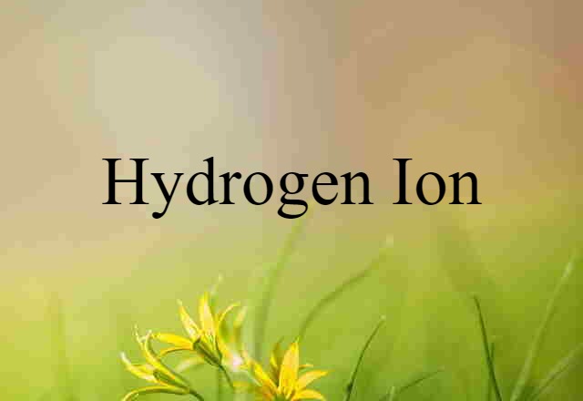 Hydrogen Ion (noun) Definition, Meaning & Examples