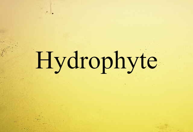 Hydrophyte (noun) Definition, Meaning & Examples