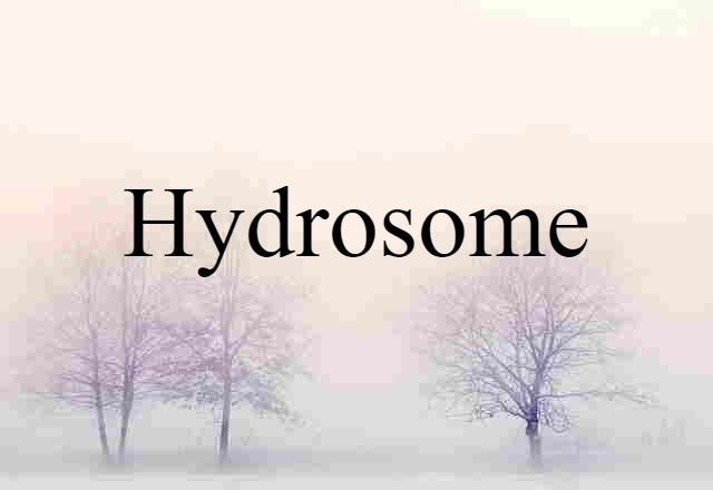 hydrosome