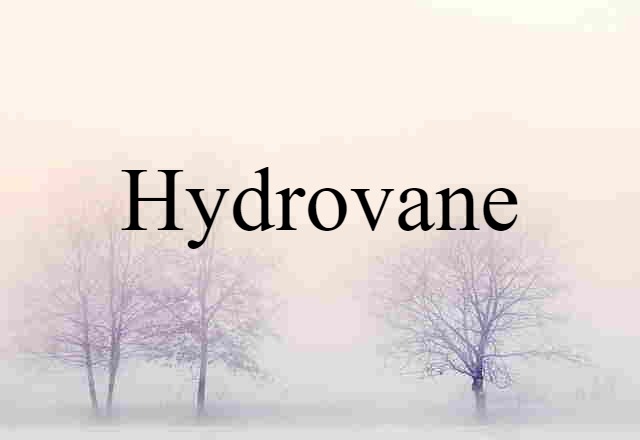 Hydrovane (noun) Definition, Meaning & Examples