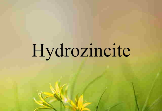 Hydrozincite (noun) Definition, Meaning & Examples