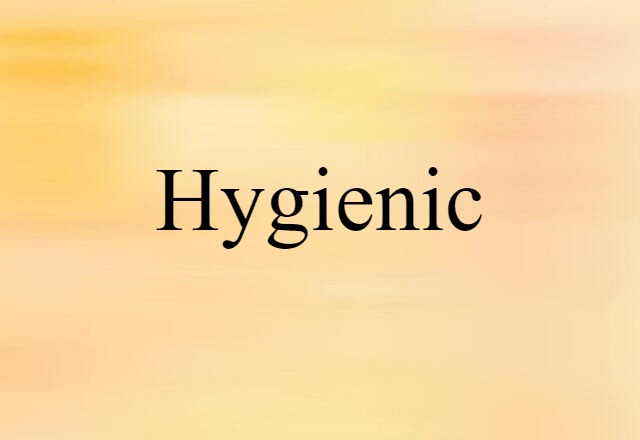 Hygienic (noun) Definition, Meaning & Examples