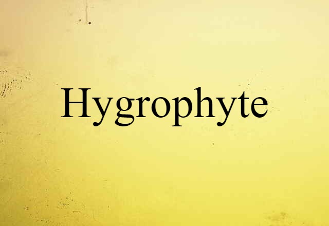 Hygrophyte (noun) Definition, Meaning & Examples