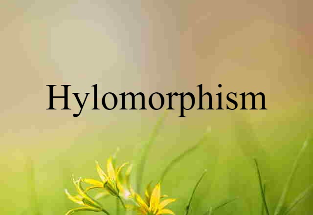 Hylomorphism (noun) Definition, Meaning & Examples