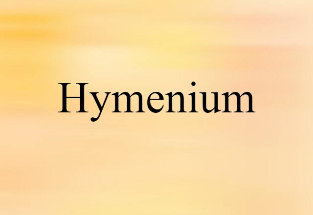 hymenium