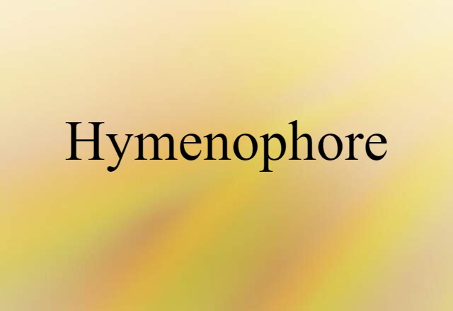 Hymenophore (noun) Definition, Meaning & Examples