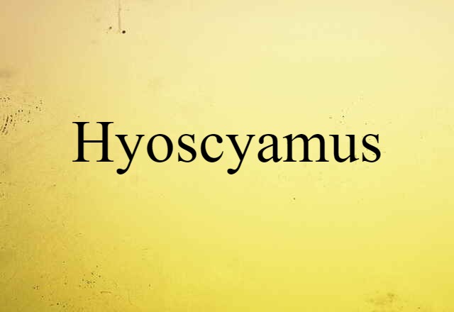 Hyoscyamus (noun) Definition, Meaning & Examples