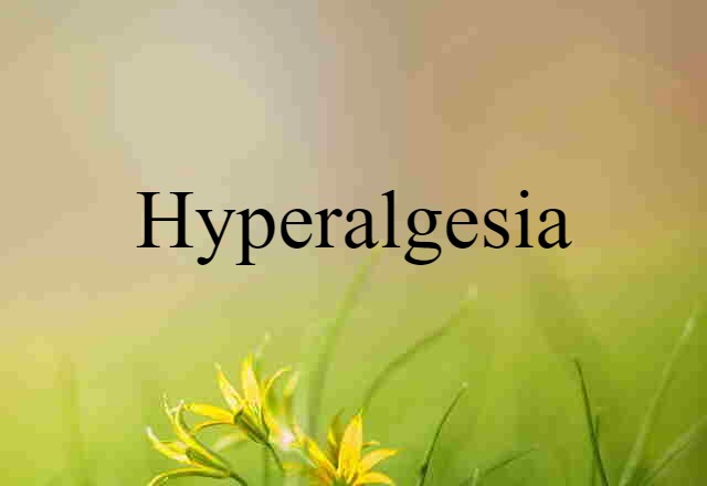 Hyperalgesia (noun) Definition, Meaning & Examples