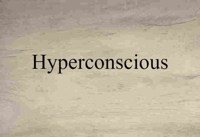 Hyperconscious (noun) Definition, Meaning & Examples