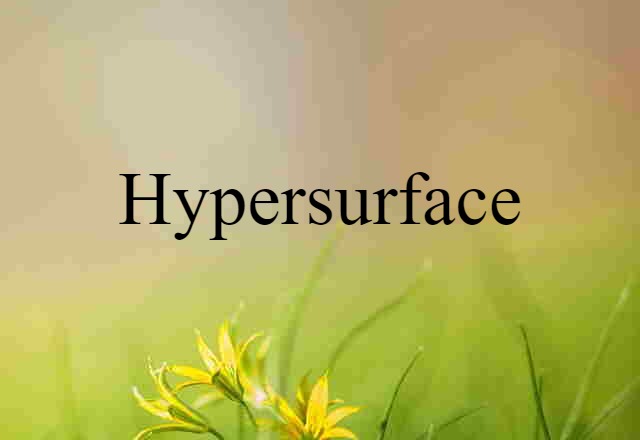 Hypersurface (noun) Definition, Meaning & Examples