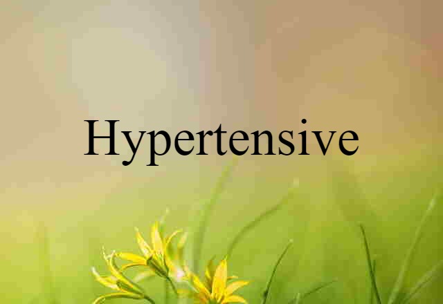 Hypertensive (noun) Definition, Meaning & Examples