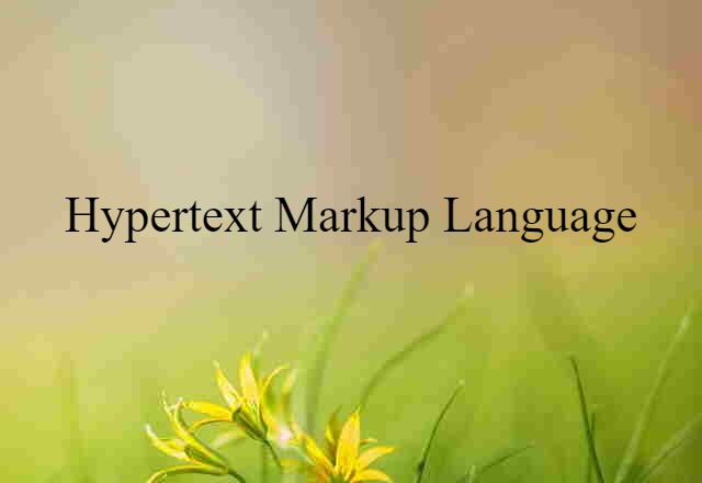 hypertext markup language