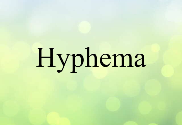 Hyphema (noun) Definition, Meaning & Examples