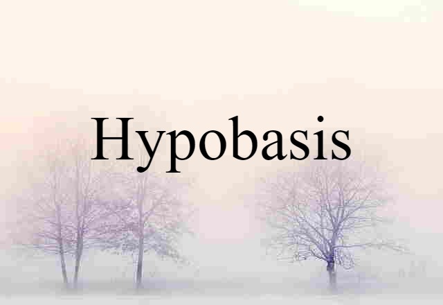 hypobasis