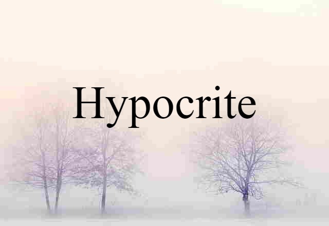 Hypocrite (noun) Definition, Meaning & Examples