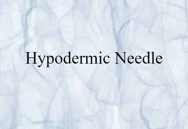 Hypodermic Needle (noun) Definition, Meaning & Examples